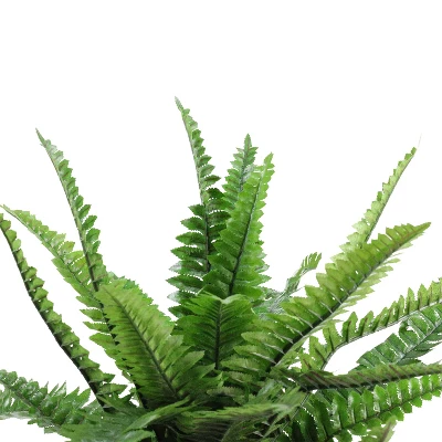 Northlight 17.5" Potted Artificial Green Boston Fern Plant 3 Northlight 17.5" Potted Artificial Green Boston Fern Plant