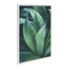 23" X 33" Sylvie Agave II Framed Canvas Wall Art By F2 Images White - Kate And Laurel -Decor Vista GUEST 79c563d6 1b35 4a78 86e7 5624e3c1cbfa