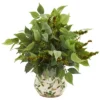 Nearly Natural Mixed Ficus, Fittonia And Berries Artificial Plant In Floral Vase -Decor Vista GUEST 7c817606 0ff9 4df1 931b 46a33a81092e