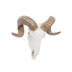 Polystone Sheep Skull Wall Decor White - Olivia & May -Decor Vista GUEST 7f368657 e045 4ef7 99cc 5cafb512bc21