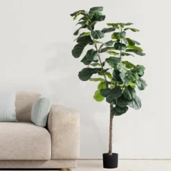 Forever Leaf 72" Artificial Fiddle Tree In Black Pot 2 Stem, Indoor Artificial Plant For Home Decor -Decor Vista GUEST 800cb221 3dad 4f69 891c 270828276a51