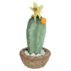Northlight 12" Flowering Cactus Artificial Potted Plant - Green/Brown -Decor Vista GUEST 83552da9 13e4 4423 bb29 1f0d4fd08051
