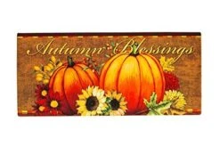 Evergreen Indoor Outdoor Doormat Bundle Set Of 5 - Frame And 4 Welcome Seasonal Inserts Pumpkins Blue Truck Welcome Snowmen -Decor Vista GUEST 8e7c82f9 c8ef 45d8 a9fb dbf1467b3ac4