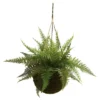Artificial Leather Fern With Mossy Hanging Basket Indoor / Outdoor Set Of 2 - Nearly Natural -Decor Vista GUEST 8e931eed fe55 497a a801 102a05c5af7c