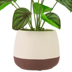 Northlight 10.25" Artificial Peperomia Plant In Two-Tone Ceramic Pot -Decor Vista GUEST 9717fb24 19da 4293 a814 8ab59c4b7a8b