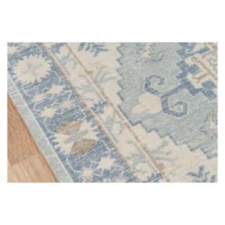 Anatolia Riggs Area Rug - Momeni -Decor Vista GUEST 9e742fae c2ca 40d5 bfa3 c9b6e57df9b1