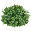 Sullivans New England Boxwood Half Orb Decorative Filler 2 Sullivans New England Boxwood Half Orb Decorative Filler -Decor Vista GUEST a11d49e7 ddc9 481d bbb0 63f2cff7f446