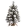 Transpac Artificial 18 In. Multicolor Christmas Snow Colorado Tree With Bagged Stand 2 Transpac Artificial 18 In. Multicolor Christmas Snow Colorado Tree With Bagged Stand -Decor Vista GUEST a38084e0 2e20 4046 abce 4f3a67c39d93