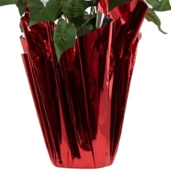 Northlight 26" White Artificial Christmas Poinsettia In Red Wrapped Base -Decor Vista GUEST a5ffe649 2329 412d b16f 13139f8caa12