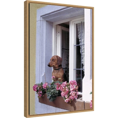 16" X 23" How Much Is That Dachshund In The Window? By Ric Ergenbright Danita Delimont Framed Canvas Wall Art - Amanti Art 3 16" X 23" How Much Is That Dachshund In The Window? By Ric Ergenbright Danita Delimont Framed Canvas Wall Art - Amanti Art