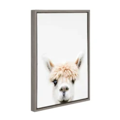 18" X 24" Sylvie Alpaca Bangs Canvas Wall Art By Amy Peterson Gray - Kate And Laurel