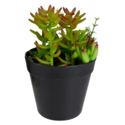 Northlight 8" Mixed Succulent Artificial Plant Arrangement In Pot - Green/Red -Decor Vista GUEST b1b550ad ba29 4764 8448 caf7bfb8aef9