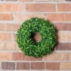 10" Artificial Mini Button Leaf Wreath - Vickerman -Decor Vista GUEST bba31c61 7633 4988 a77a 0daa650afafa