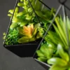 Sullivans Artificial Succulents In Pyramid Planters Set Of 2, 9"H Green -Decor Vista GUEST c342d235 9b17 4865 9226 8346b2c90adc