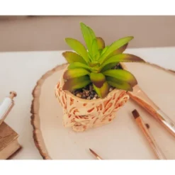 Silver Buffalo A Nightmare On Elm Street Freddy Krueger Ceramic Planter W/ Artificial Succulent -Decor Vista GUEST c3ce35e4 b009 40aa 8c6f dbd5654b9c6d