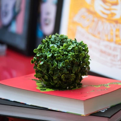 Vickerman 5" Artificial Mini Button Leaf Ball UV, Set Of 4 6 Vickerman 5" Artificial Mini Button Leaf Ball UV, Set Of 4 - Image 4