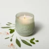 12oz Serenity Fashion Salted Glass Candle Green - Casaluna™ -Decor Vista GUEST cd9f6596 7045 464c 966e 8dcb30552594