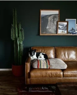 Nearly Natural 6.5-ft Cactus Artificial Plant