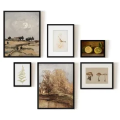 Americanflat 6 Piece Vintage Gallery Wall Art Set - Fall Study, Autumn In The Hills, Mushrooms, Light Bird, Fern Frond By Maple + Oak -Decor Vista GUEST ceeed54b 5481 4731 a63f 59d55e596b8d