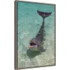 16" X 23" Dolphin In The Ocean By Keren Su Danita Delimont Framed Canvas Wall Art - Amanti Art -Decor Vista GUEST d020dbea 178e 4d05 8f7d 42b7f039195d