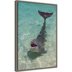 16" X 23" Dolphin In The Ocean By Keren Su Danita Delimont Framed Canvas Wall Art - Amanti Art
