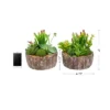 Faux Succulents  Assorted 8" Tall - Greenery Arrangements In Decorative Concrete Planters For Indoor Home Or Office By Pure Garden (Set Of 2) -Decor Vista GUEST d208aaff 0d4b 4e4b bfde badc6d1c1275