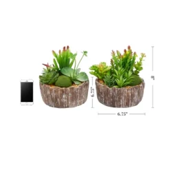 Faux Succulents  Assorted 8" Tall - Greenery Arrangements In Decorative Concrete Planters For Indoor Home Or Office By Pure Garden (Set Of 2)