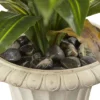 Nearly Natural 5-ft Dracaena Plant With Urn (Real Touch) 1 Nearly Natural 5-ft Dracaena Plant With Urn (Real Touch) -Decor Vista GUEST d3177471 99d4 478a 882f 072c8fc1e8cf