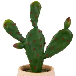 Northlight Real Touch™ Artificial Green And Red Potted Floral Cactus 9.5" -Decor Vista GUEST d441b7e9 68de 46db 87a8 53b658aa8cb7