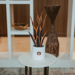 Forever Leaf Auburn Faux Snake Plant, Indoor Artificial Plant For Home Decor -Decor Vista GUEST d5b11a78 b9ac 4785 81c9 15e0b3073c45