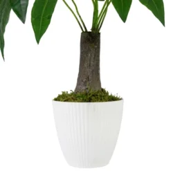 Northlight 18.5" Artificial Guiana Chestnut Plant In White Pot -Decor Vista GUEST da501613 743a 46ed 956a 71b001639a45