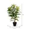 Vickerman 34" Artificial Green Myrtle Real Touch Plant. 1 Vickerman 34" Artificial Green Myrtle Real Touch Plant. -Decor Vista GUEST e2dcd3bd ff16 4def 9565 365edc924201