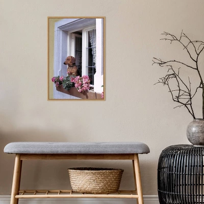 16" X 23" How Much Is That Dachshund In The Window? By Ric Ergenbright Danita Delimont Framed Canvas Wall Art - Amanti Art 8 16" X 23" How Much Is That Dachshund In The Window? By Ric Ergenbright Danita Delimont Framed Canvas Wall Art - Amanti Art - Image 6