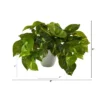 Nearly Natural 9-in Pothos Artificial Plant In White Planter (Real Touch) -Decor Vista GUEST e40fff37 0a8c 410d bb61 1d5003fa3d04