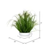 Vickerman Artificial Cream Potted Artificial Cosmos And Grass -Decor Vista GUEST e7983d40 5731 44d1 a4c9 309d37272465
