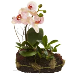 10" X 7" 2pc Artificial Orchid Island Set White/Purple - Nearly Natural