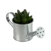 Northlight 4" X Pachyveria Succulent In Water Can Artificial Potted Plant - Green/Silver