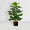Forever Leaf 28" Artificial Fiddle Fig Leaf Plant In Black Pot, Indoor Artificial Plant For Home Decor -Decor Vista GUEST f57fecb0 72c8 406c b1a4 e0672b392404