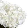 23" X 21" Artificial Hydrangea Flower Plant Arrangement In Vase - Nearly Natural